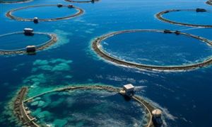 电气设备行业市场空间大 2024年中国电气设备行业发展趋势(图5)
