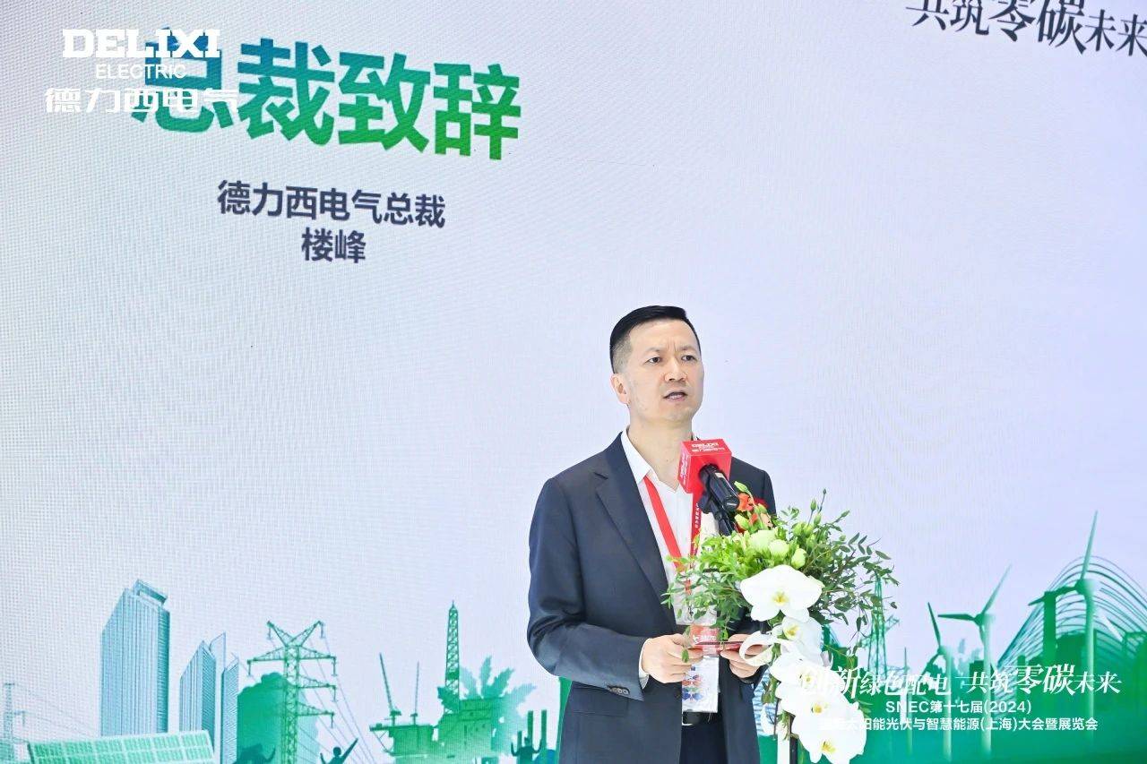 闪耀SNEC 2024！德力西电气以实力开启“零碳之旅”(图3)