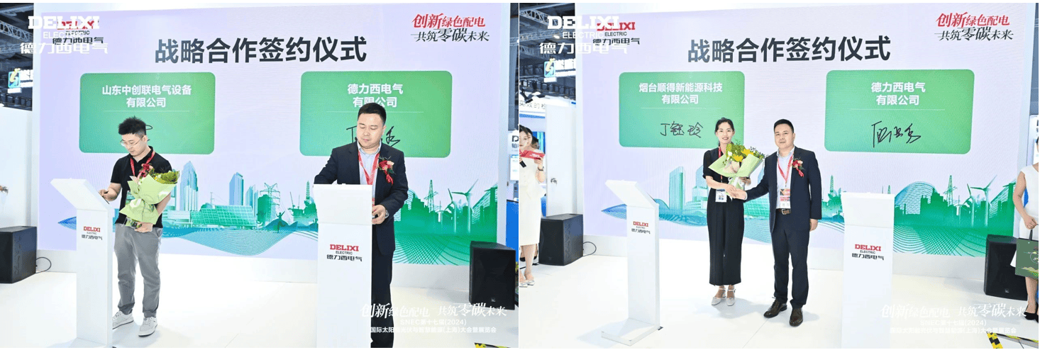 闪耀SNEC 2024！德力西电气以实力开启“零碳之旅”(图8)